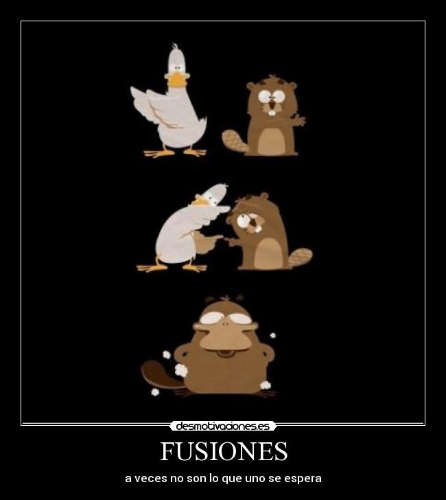 FUSIONES - a veces no son lo que uno se espera