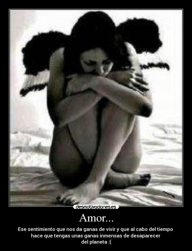 Amor... - 
