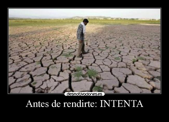 Antes de rendirte: INTENTA - 