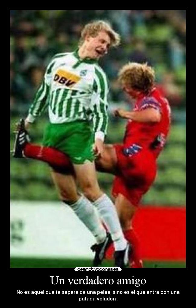 Un verdadero amigo - No es aquel que te separa de una pelea, sino es el que entra con una patada voladora