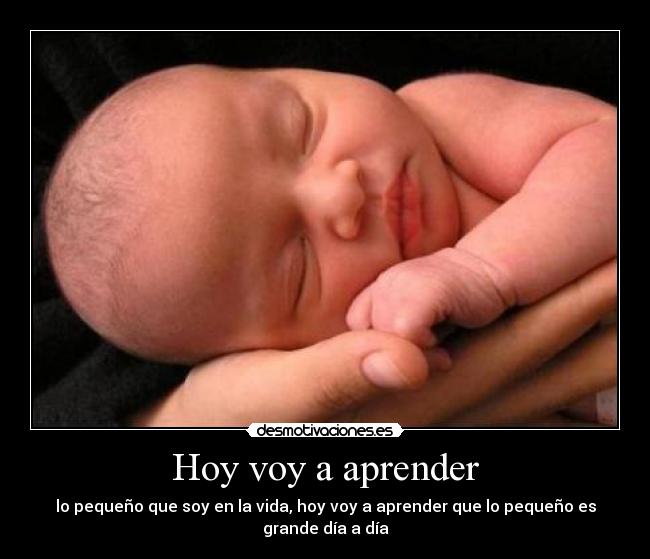Hoy voy a aprender - lo pequeño que soy en la vida, hoy voy a aprender que lo pequeño es grande día a día