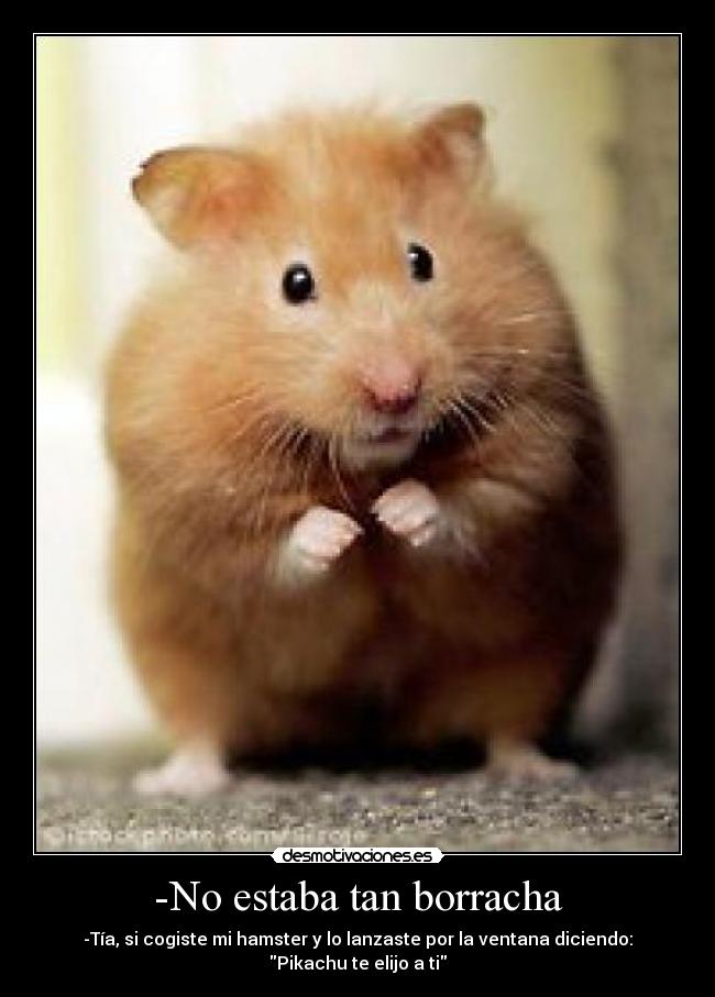 -No estaba tan borracha - -Tía, si cogiste mi hamster y lo lanzaste por la ventana diciendo: Pikachu te elijo a ti