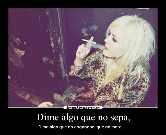 carteles puesesosesos desmotivaciones