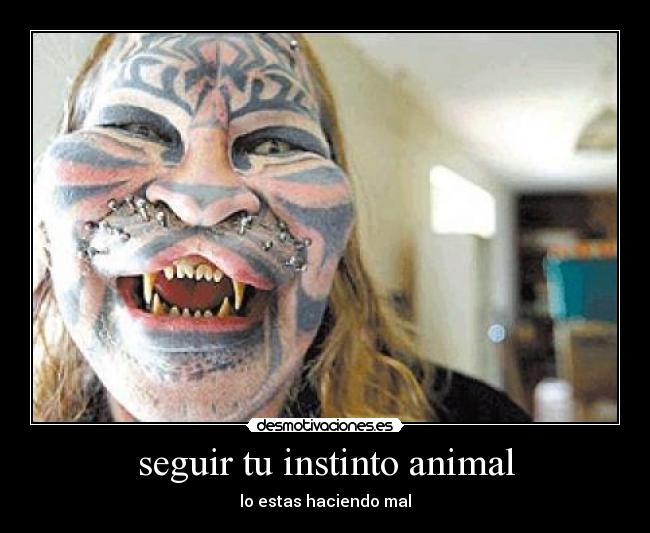 seguir tu instinto animal - lo estas haciendo mal