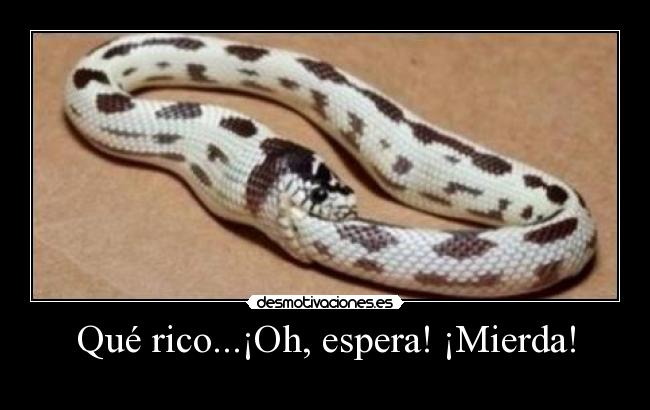 Qué rico...¡Oh, espera! ¡Mierda! - 