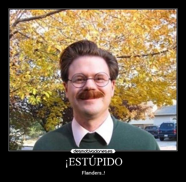 ¡ESTÚPIDO - Flanders..!