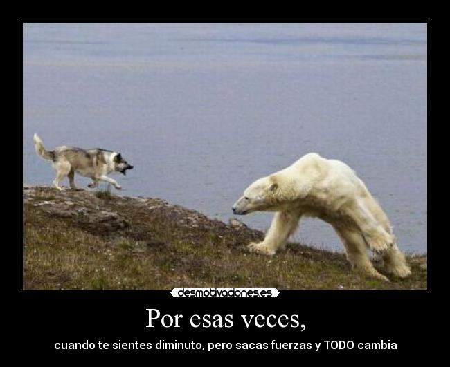 carteles esos momentos llaman vida nato nato 2011 sonrie desmotivaciones