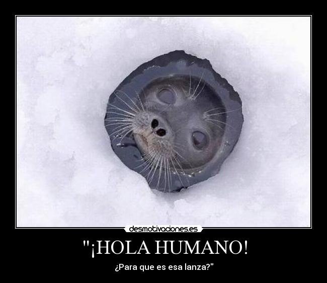 ¡HOLA HUMANO! - 