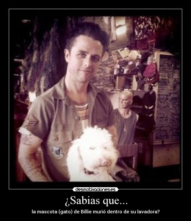 ¿Sabias que... - la mascota (gato) de Billie murió dentro de su lavadora?