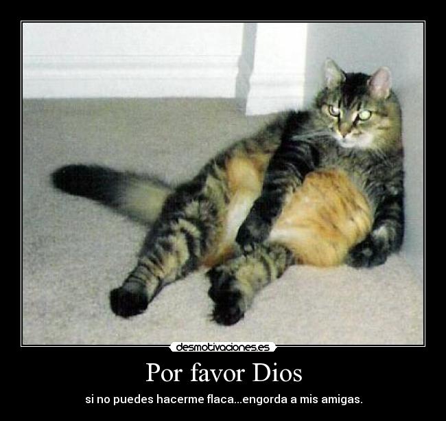 Por favor Dios - si no puedes hacerme flaca...engorda a mis amigas.
