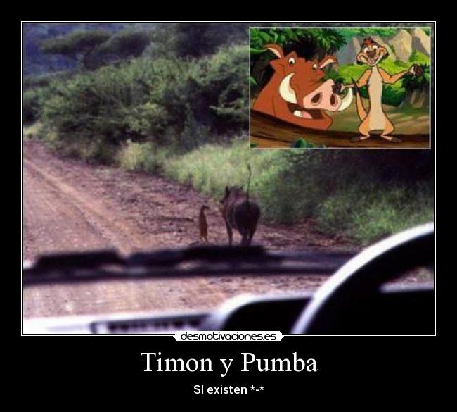 Timon y Pumba - 