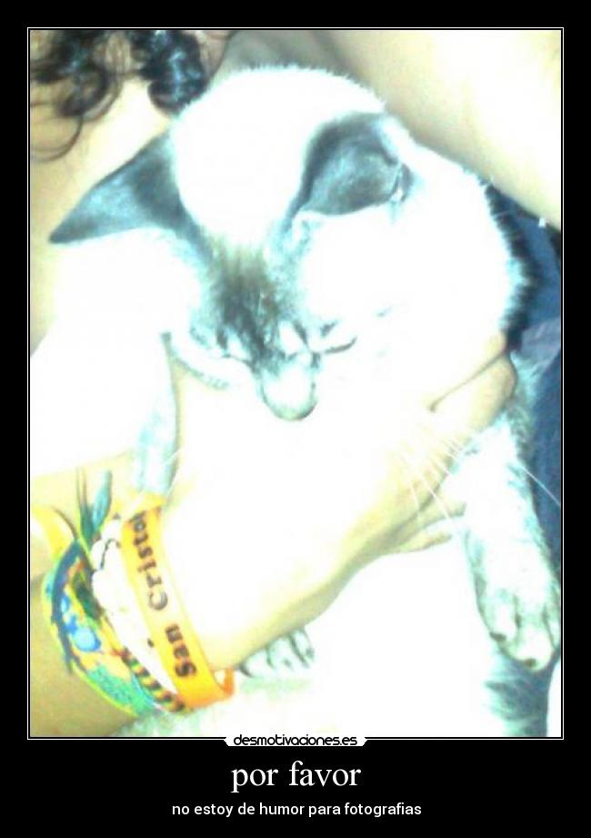 carteles nina primer cartel - espero alguna ves llegar prinsipal desmotivaciones