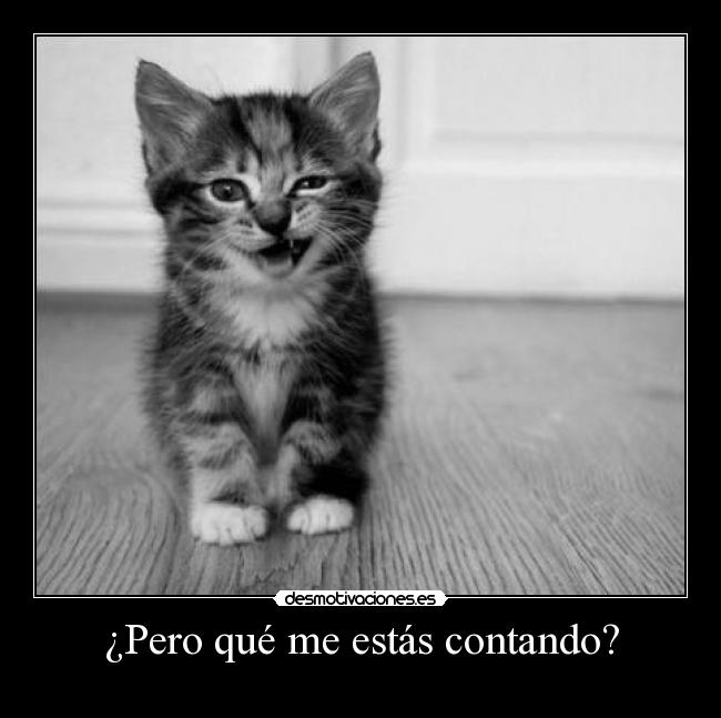 ¿Pero qué me estás contando? -