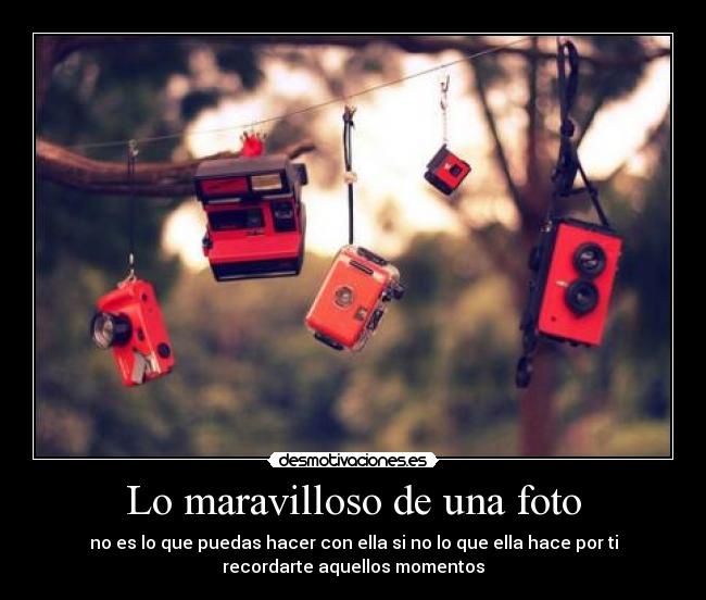 Lo maravilloso de una foto - 