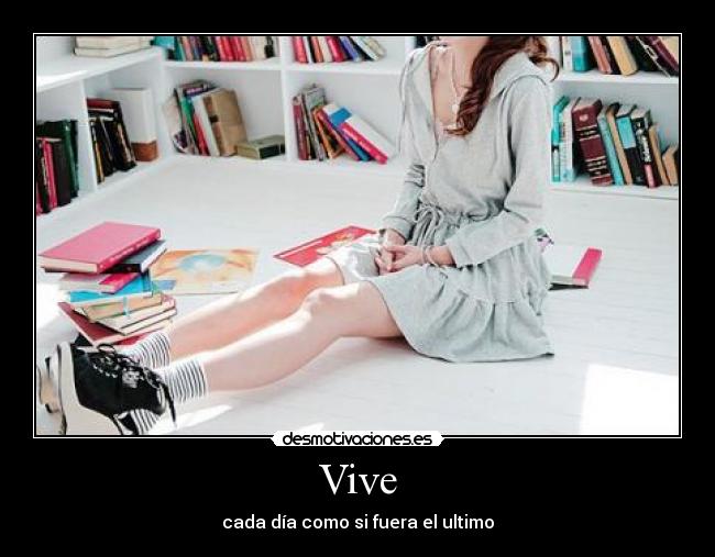 Vive - 