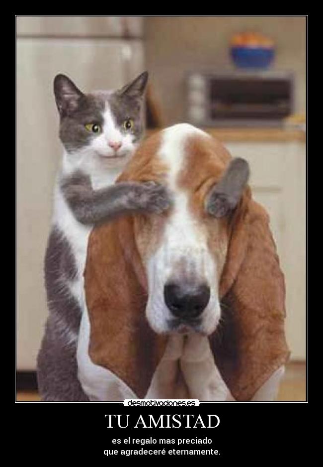 TU AMISTAD - es el regalo mas preciado
que agradeceré eternamente.