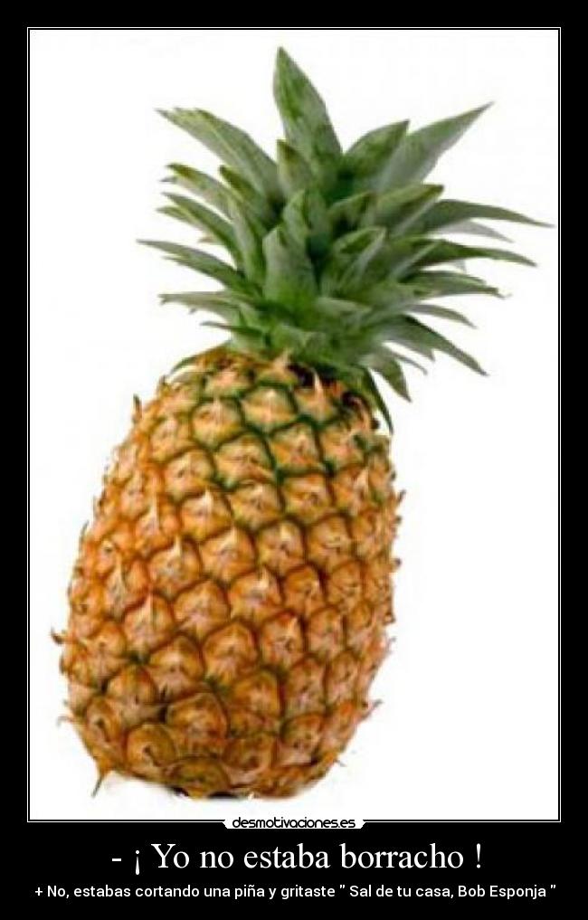 - ¡ Yo no estaba borracho ! -