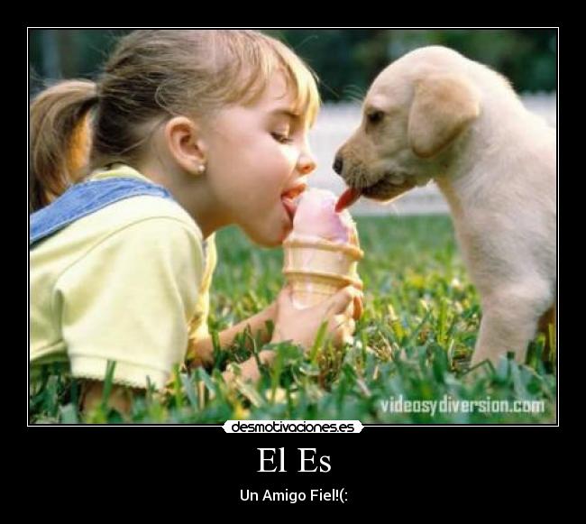 carteles hey desmotivaciones