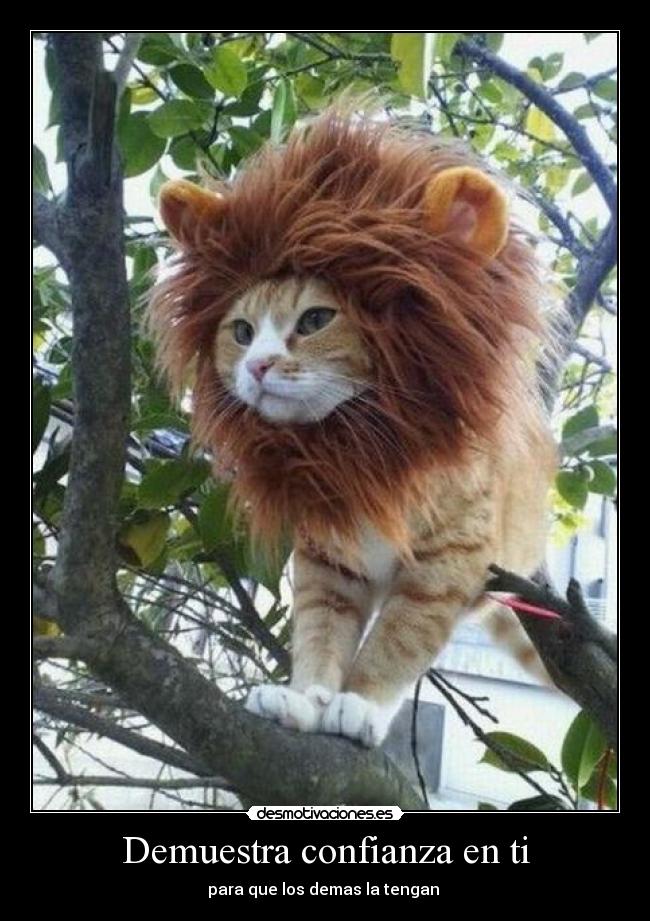 carteles confianza jorge servin desmotivaciones