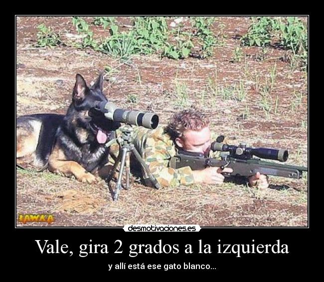 carteles perro francotirador desmotivaciones