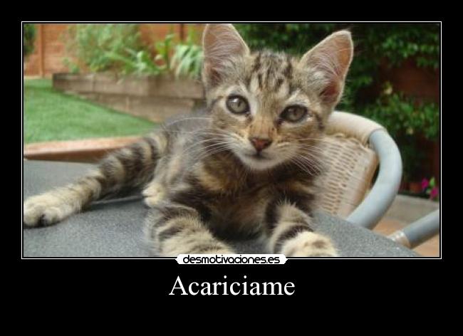Acariciame - 
