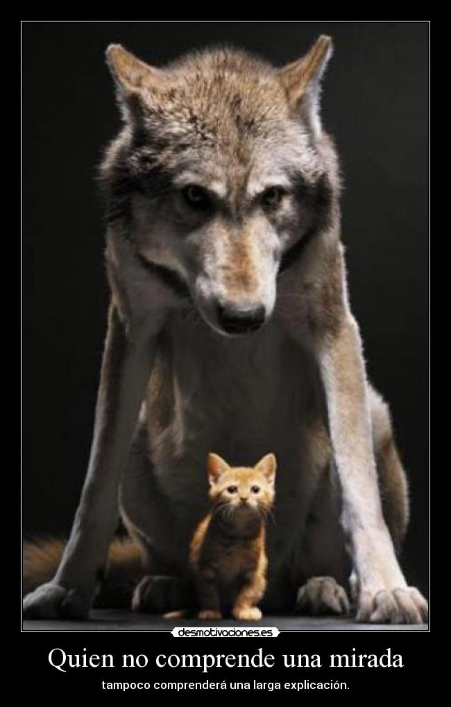 Quien no comprende una mirada - tampoco comprenderá una larga explicación.