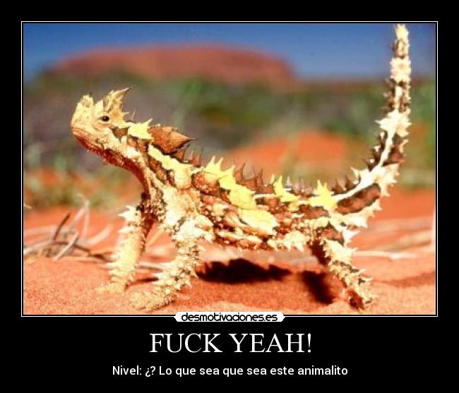 FUCK YEAH! - 