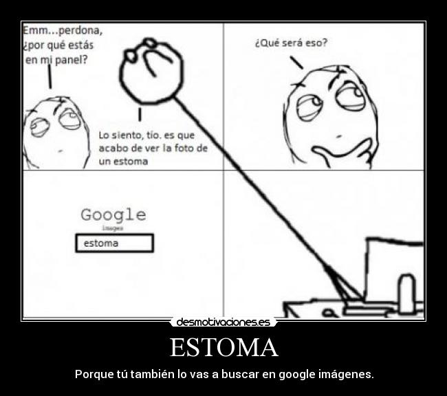 ESTOMA - Porque tú también lo vas a buscar en google imágenes.