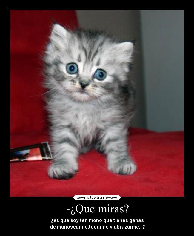 -¿Que miras? -