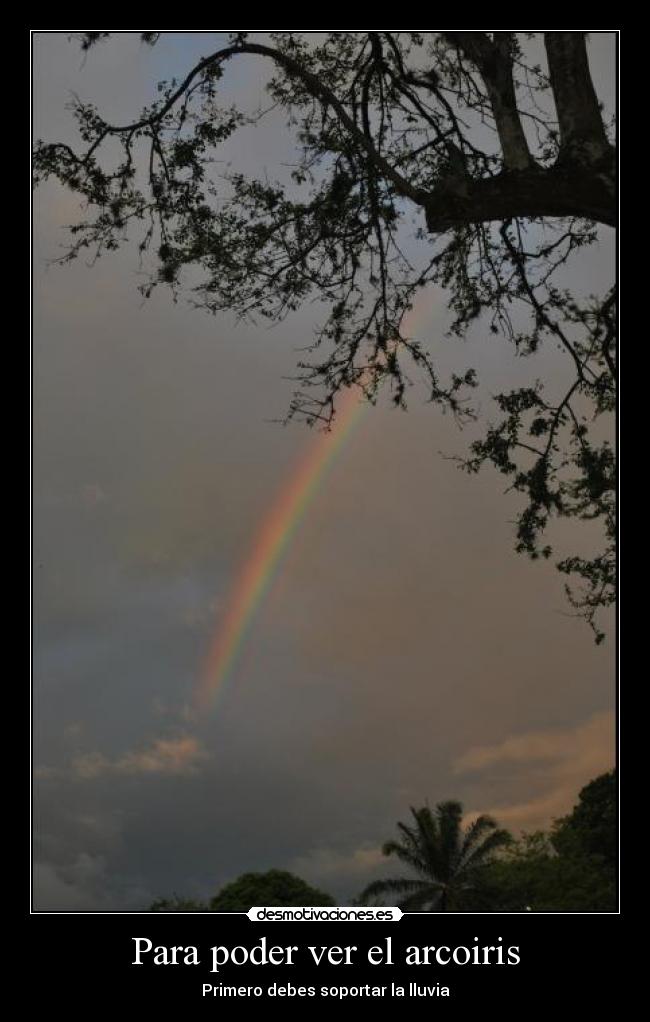 carteles nn desmotivaciones