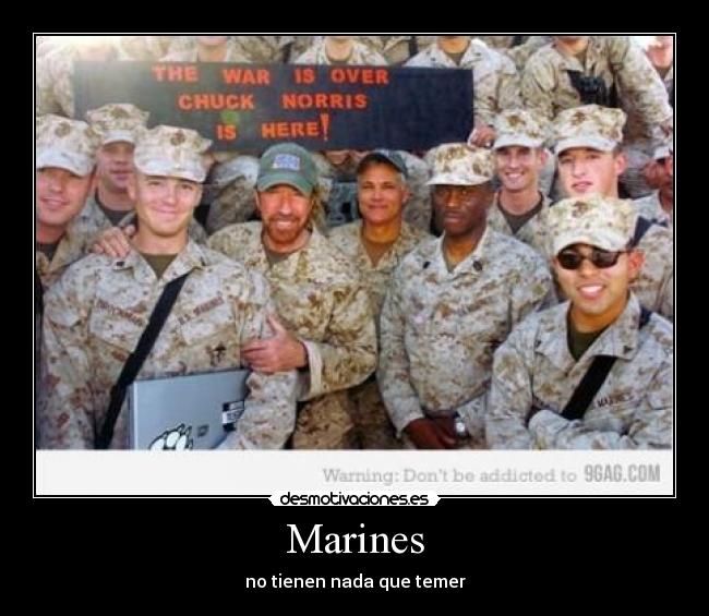 Marines - no tienen nada que temer