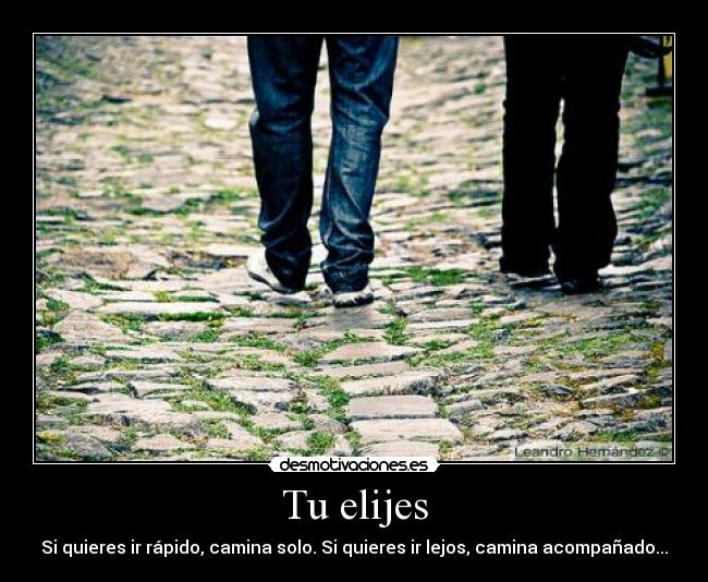 Tu elijes - 