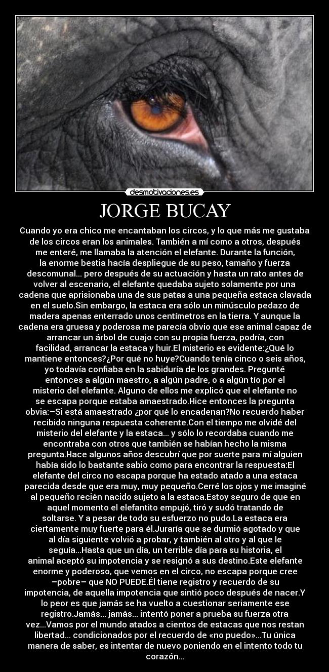 JORGE BUCAY - Cuando yo era chico me encantaban los circos, y lo que más me gustaba
de los circos eran los animales. También a mí como a otros, después
me enteré, me llamaba la atención el elefante. Durante la función,
la enorme bestia hacía despliegue de su peso, tamaño y fuerza
descomunal... pero después de su actuación y hasta un rato antes de
volver al escenario, el elefante quedaba sujeto solamente por una
cadena que aprisionaba una de sus patas a una pequeña estaca clavada
en el suelo.Sin embargo, la estaca era sólo un minúsculo pedazo de
madera apenas enterrado unos centímetros en la tierra. Y aunque la
cadena era gruesa y poderosa me parecía obvio que ese animal capaz de
arrancar un árbol de cuajo con su propia fuerza, podría, con
facilidad, arrancar la estaca y huir.El misterio es evidente:¿Qué lo
mantiene entonces?¿Por qué no huye?Cuando tenía cinco o seis años,
yo todavía confiaba en la sabiduría de los grandes. Pregunté
entonces a algún maestro, a algún padre, o a algún tío por el
misterio del elefante. Alguno de ellos me explicó que el elefante no
se escapa porque estaba amaestrado.Hice entonces la pregunta
obvia:–Si está amaestrado ¿por qué lo encadenan?No recuerdo haber
recibido ninguna respuesta coherente.Con el tiempo me olvidé del
misterio del elefante y la estaca... y sólo lo recordaba cuando me
encontraba con otros que también se habían hecho la misma
pregunta.Hace algunos años descubrí que por suerte para mí alguien
había sido lo bastante sabio como para encontrar la respuesta:El
elefante del circo no escapa porque ha estado atado a una estaca
parecida desde que era muy, muy pequeño.Cerré los ojos y me imaginé
al pequeño recién nacido sujeto a la estaca.Estoy seguro de que en
aquel momento el elefantito empujó, tiró y sudó tratando de
soltarse. Y a pesar de todo su esfuerzo no pudo.La estaca era
ciertamente muy fuerte para él.Juraría que se durmió agotado y que
al día siguiente volvió a probar, y también al otro y al que le
seguía...Hasta que un día, un terrible día para su historia, el
animal aceptó su impotencia y se resignó a sus destino.Este elefante
enorme y poderoso, que vemos en el circo, no escapa porque cree
–pobre– que NO PUEDE.Él tiene registro y recuerdo de su
impotencia, de aquella impotencia que sintió poco después de nacer.Y
lo peor es que jamás se ha vuelto a cuestionar seriamente ese
registro.Jamás... jamás... intentó poner a prueba su fuerza otra
vez...Vamos por el mundo atados a cientos de estacas que nos restan
libertad... condicionados por el recuerdo de «no puedo»...Tu única
manera de saber, es intentar de nuevo poniendo en el intento todo tu
corazón...