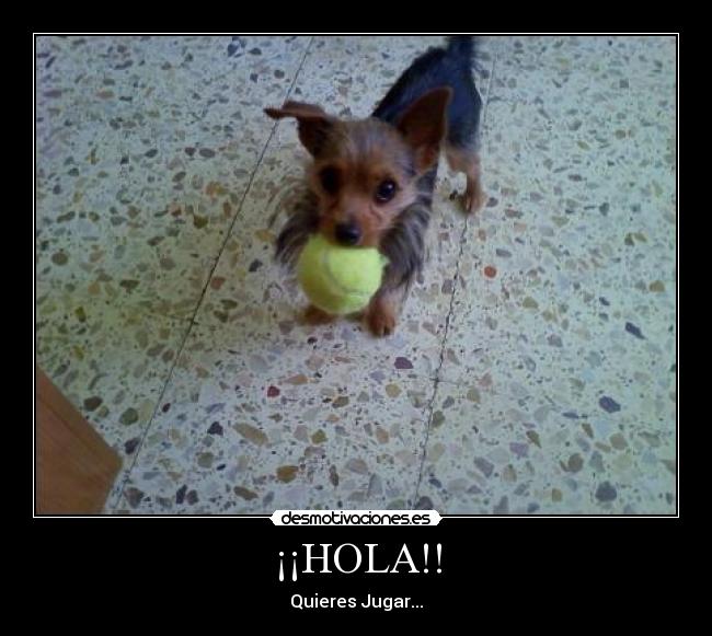 ¡¡HOLA!! - 