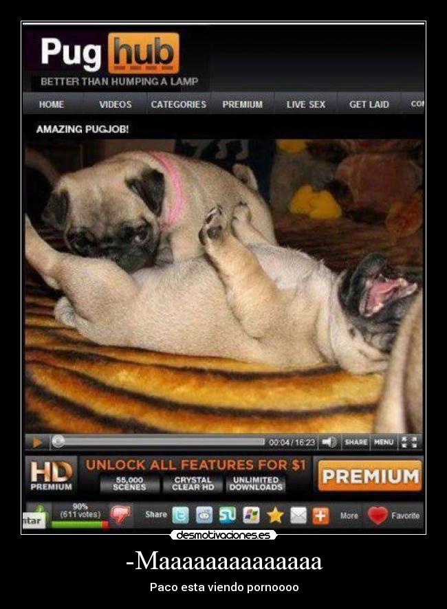 -Maaaaaaaaaaaaaa - Paco esta viendo pornoooo