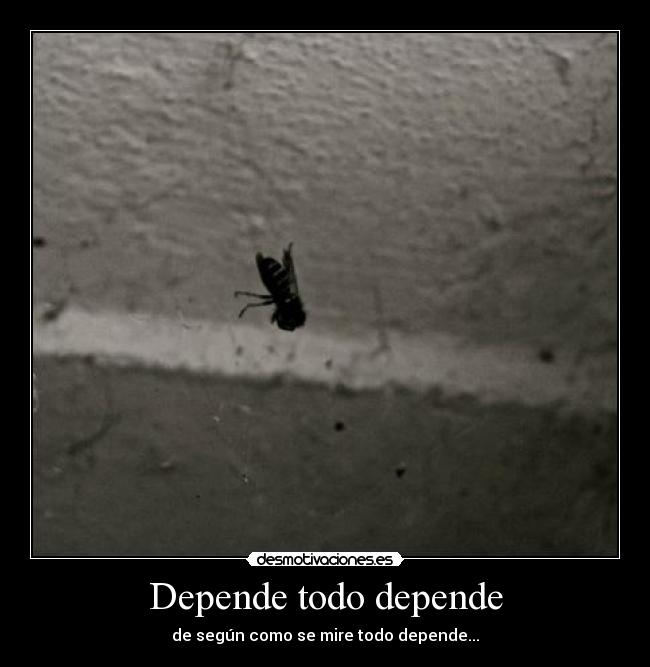 carteles cada vez mas muertes entre las moscas desmotivaciones