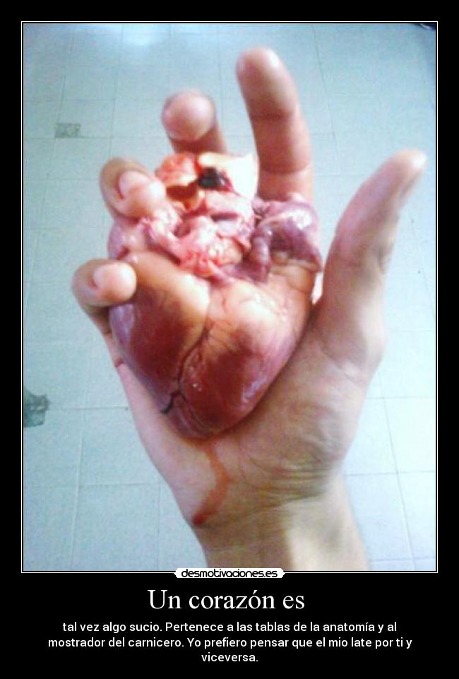 carteles corazon corazon anatomia heart you me love shalalaonline desmotivaciones