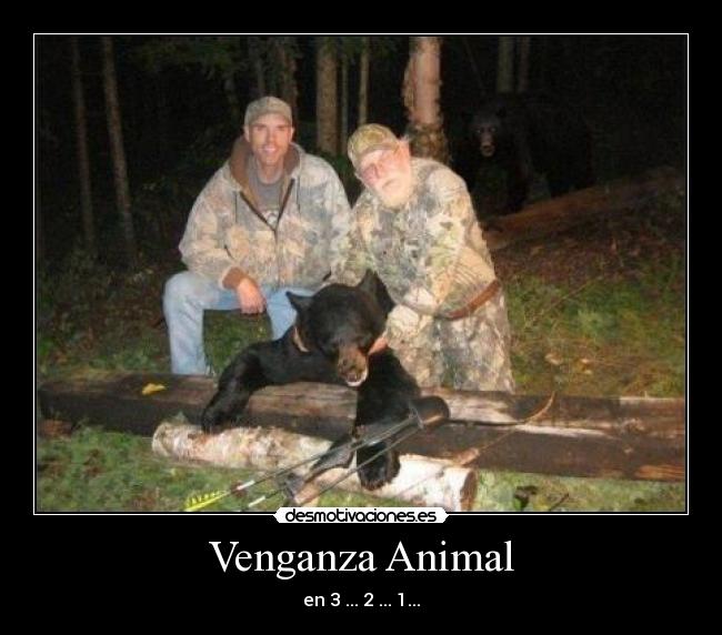 Venganza Animal - en 3 ... 2 ... 1...