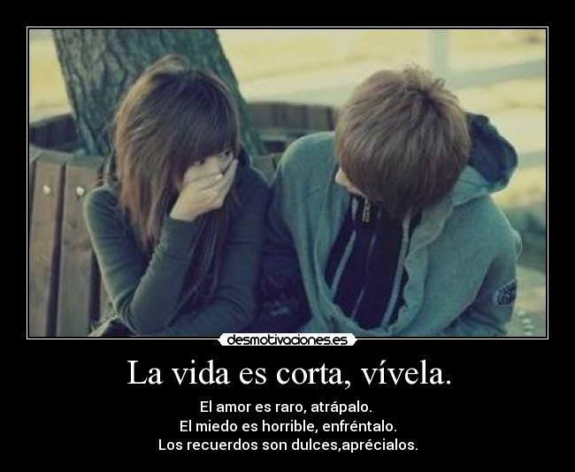 La vida es corta, vívela. -