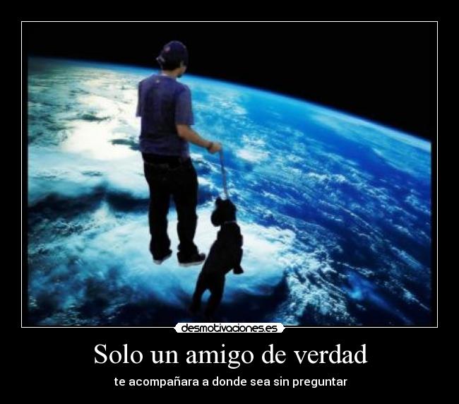 carteles solo amigo verdad acompanara donde sea sin preguntar desmotivaciones