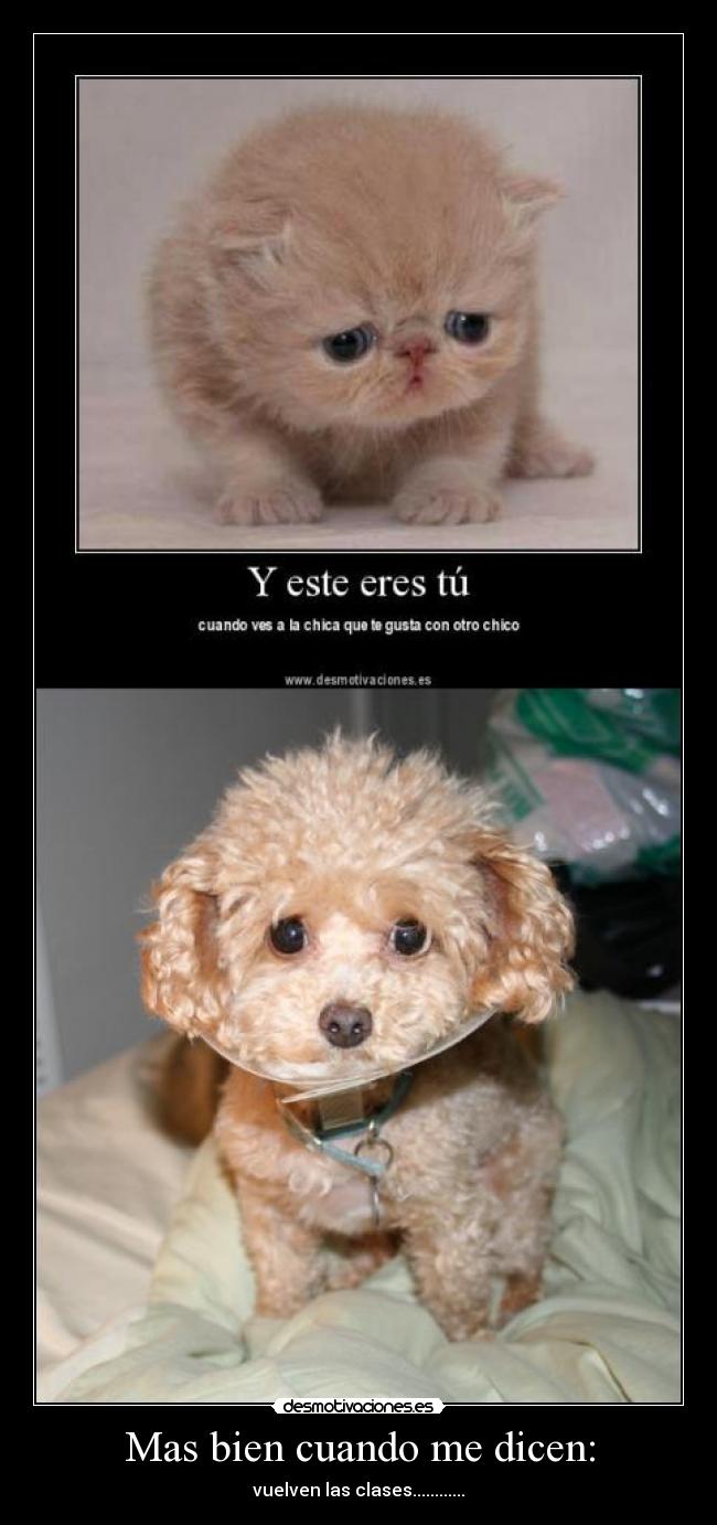 Mas bien cuando me dicen: - vuelven las clases............