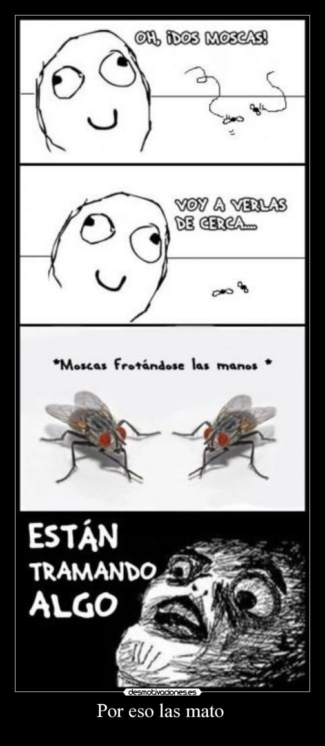 Por eso las mato -