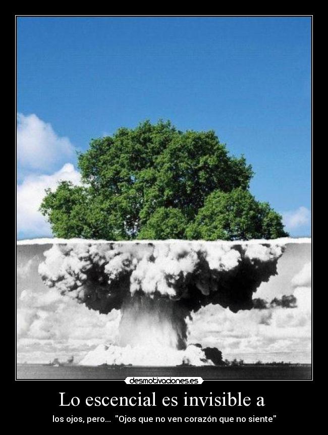 Lo escencial es invisible a - los ojos, pero... Ojos que no ven corazón que no siente