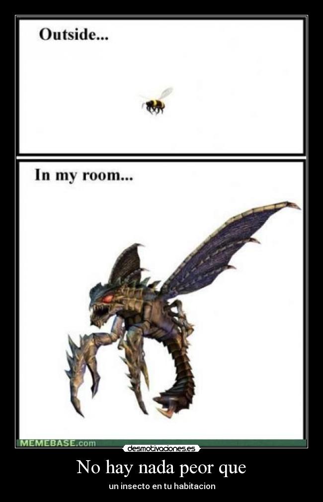 No hay nada peor que - un insecto en tu habitacion