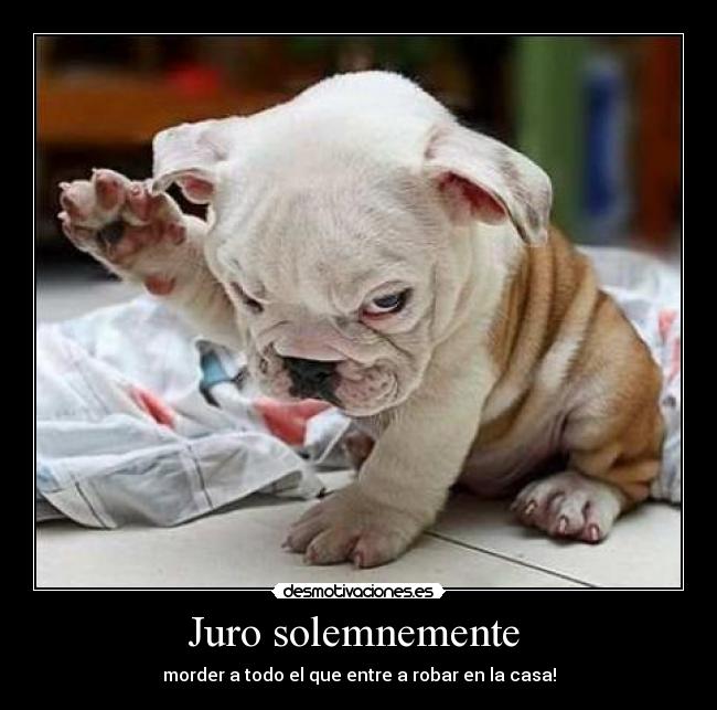 Juro solemnemente  - 