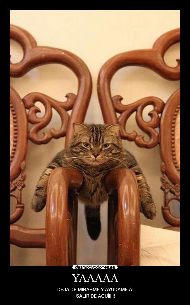 YAAAAA - DEJA DE MIRARME Y AYÚDAME A
SALIR DE AQUÍIII!!