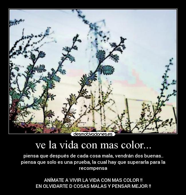 ve la vida con mas color... - piensa que después de cada cosa mala, vendrán dos buenas..
piensa que solo es una prueba, la cual hay que superarla para la recompensa
ANÍMATE A VIVIR LA VIDA CON MAS COLOR !!
EN OLVIDARTE D COSAS MALAS Y PENSAR MEJOR !!