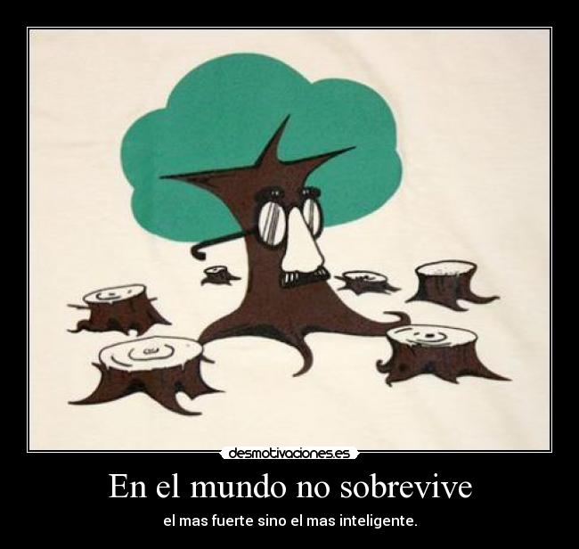 En el mundo no sobrevive - el mas fuerte sino el mas inteligente.