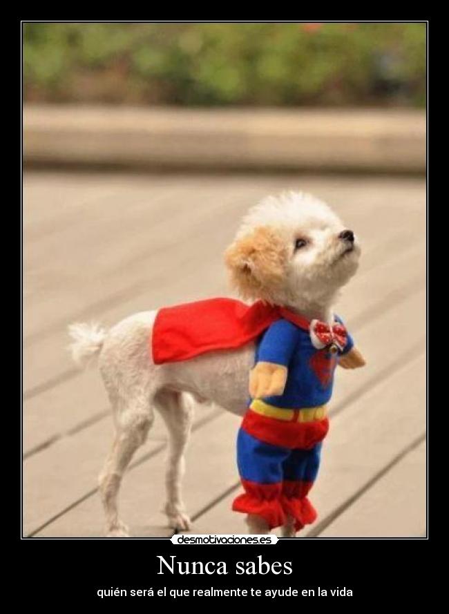 Nunca sabes - quién será el que realmente te ayude en la vida