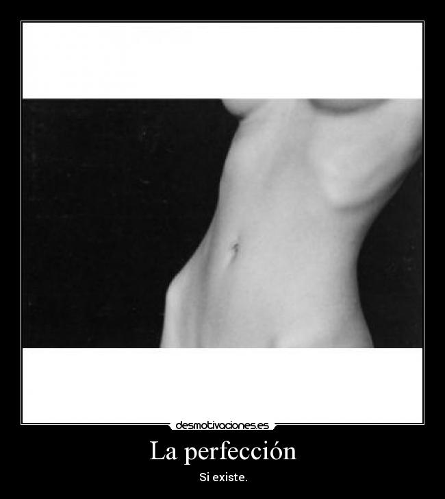 carteles perfeccion ana mia exisitir desmotivaciones